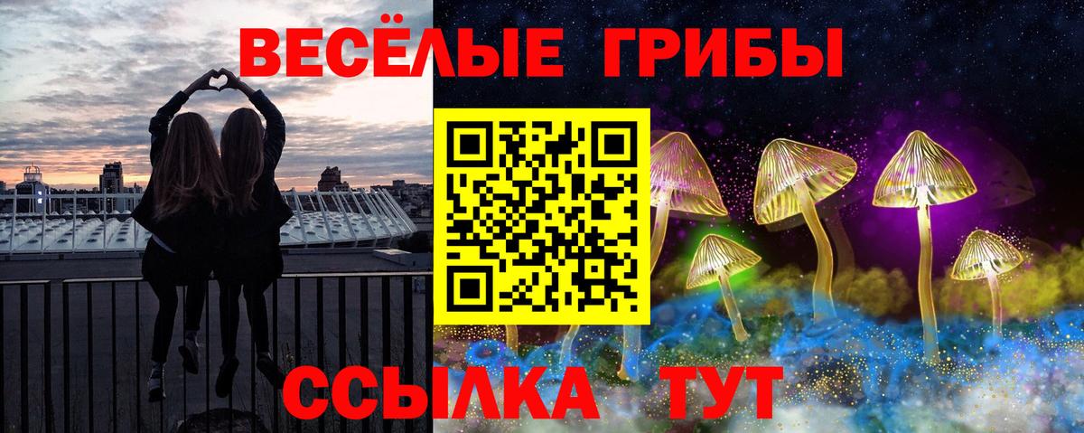 Галлюциногенные грибы Cubensis Златоуст